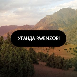 uganda-rwenzori